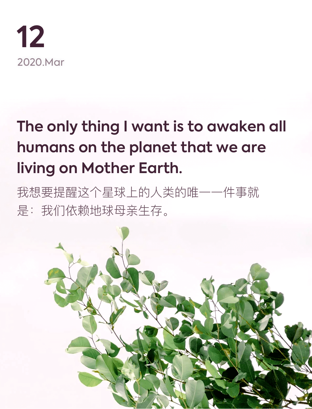 词霸每日一句