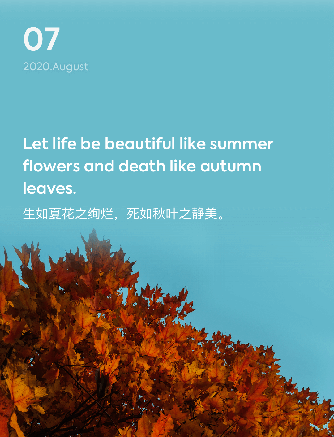 词霸每日一句