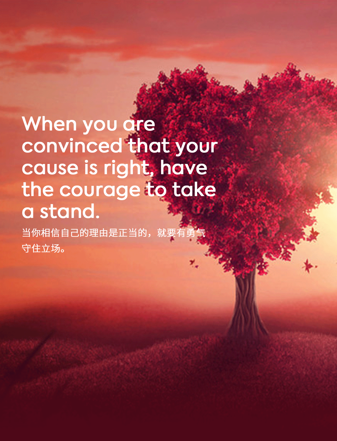 词霸每日一句