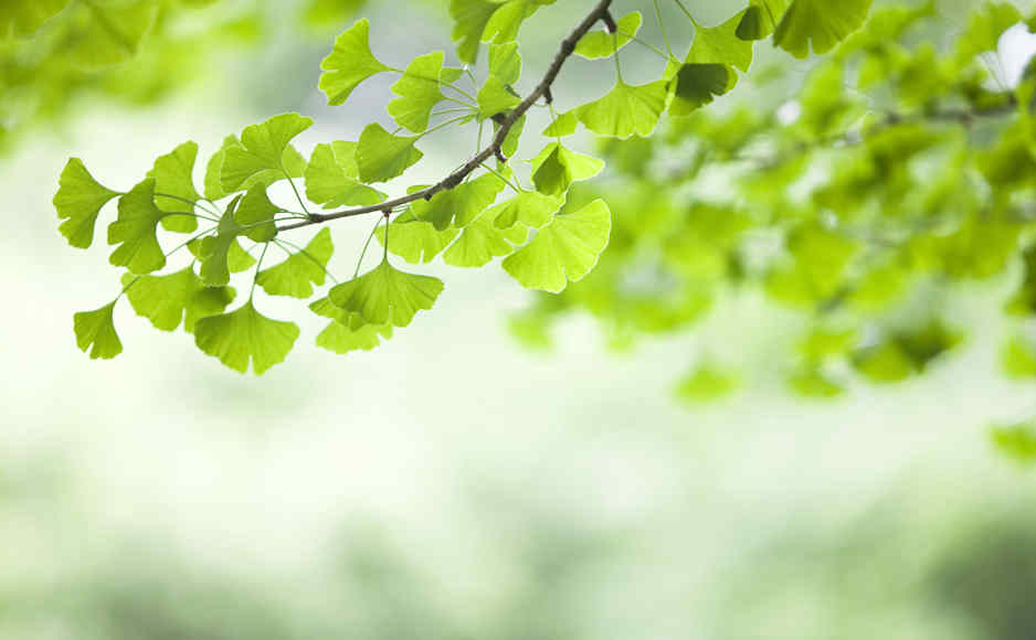 「2021-03-02」The person whose calls you always take, that’s the relationship you’re in.美图壁纸