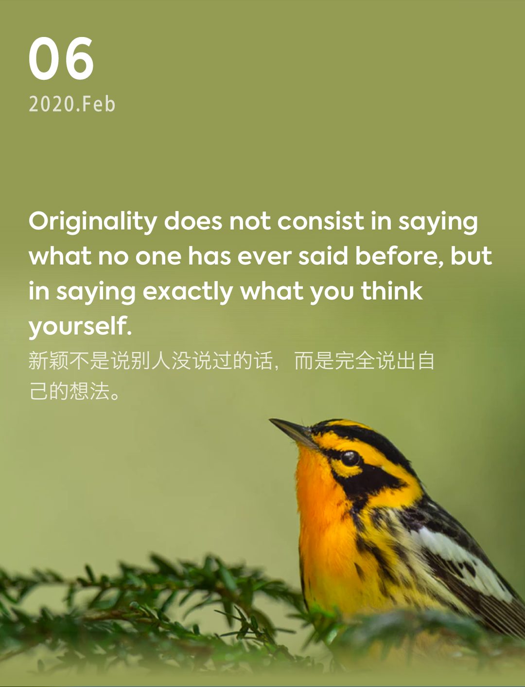 词霸每日一句