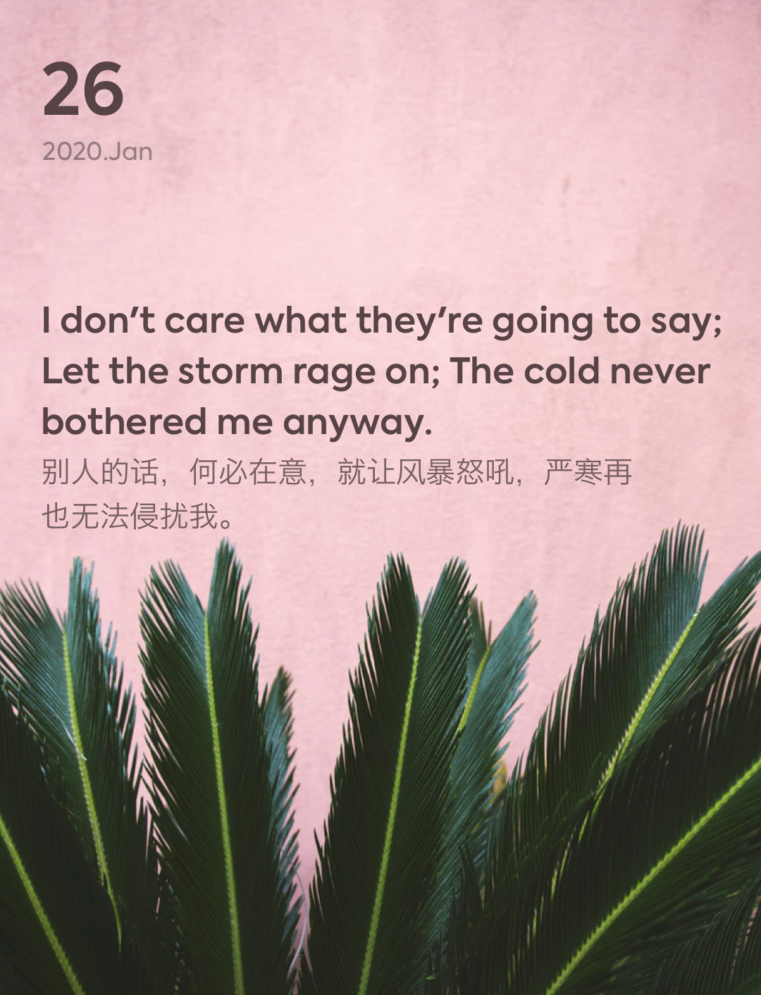 词霸每日一句