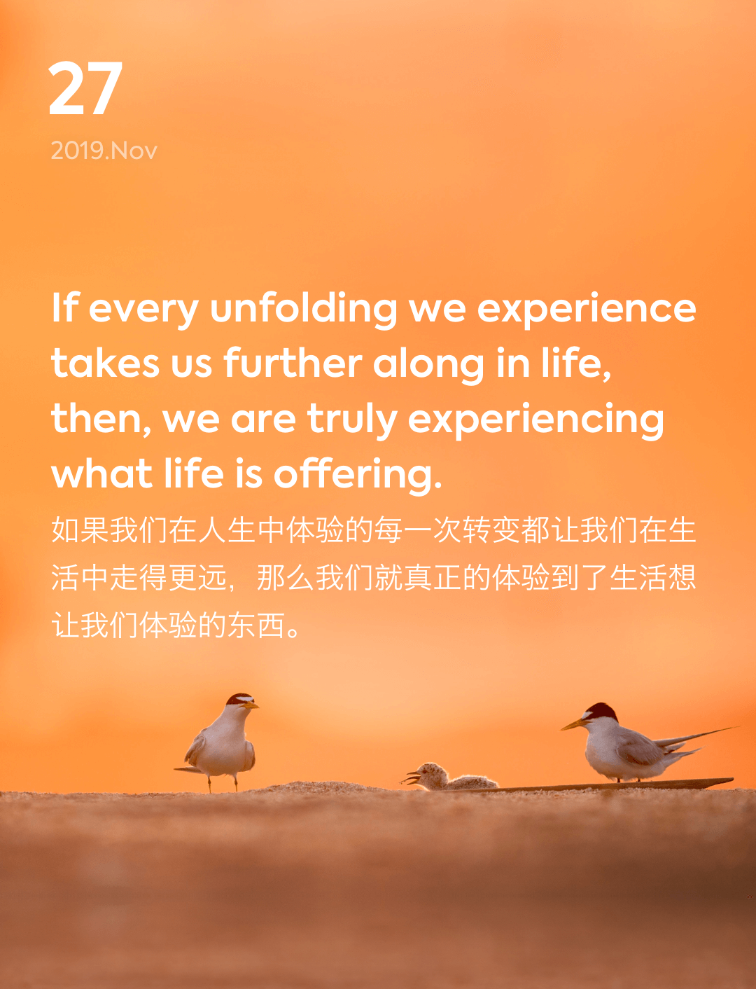 词霸每日一句