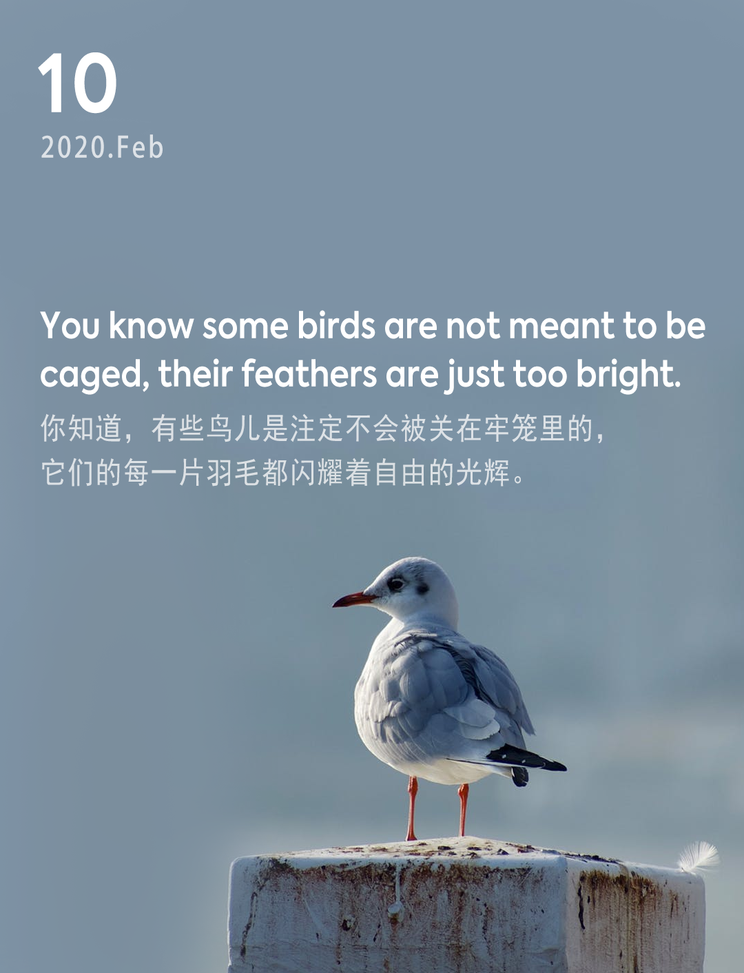 词霸每日一句