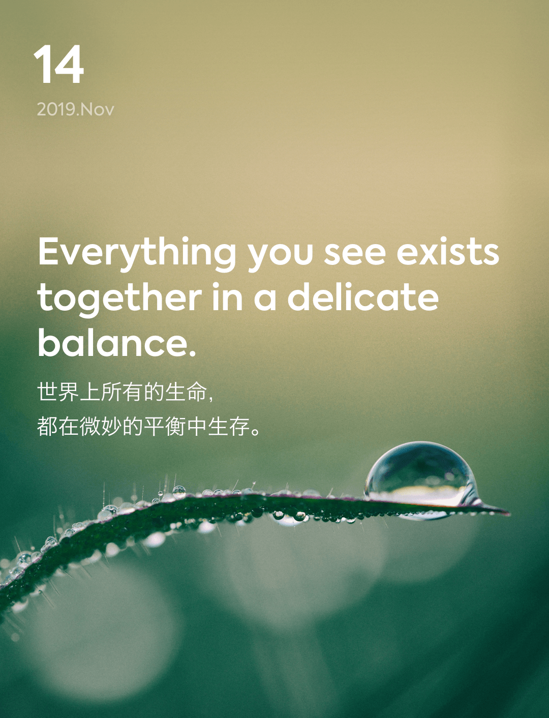 词霸每日一句