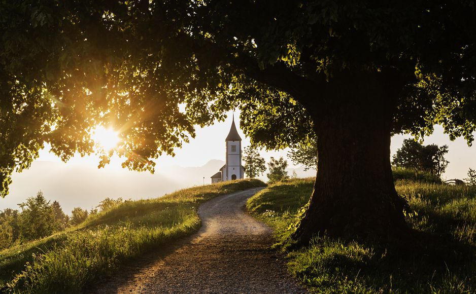 「2020-09-20」An ounce of action is worth a ton of theory.美图壁纸