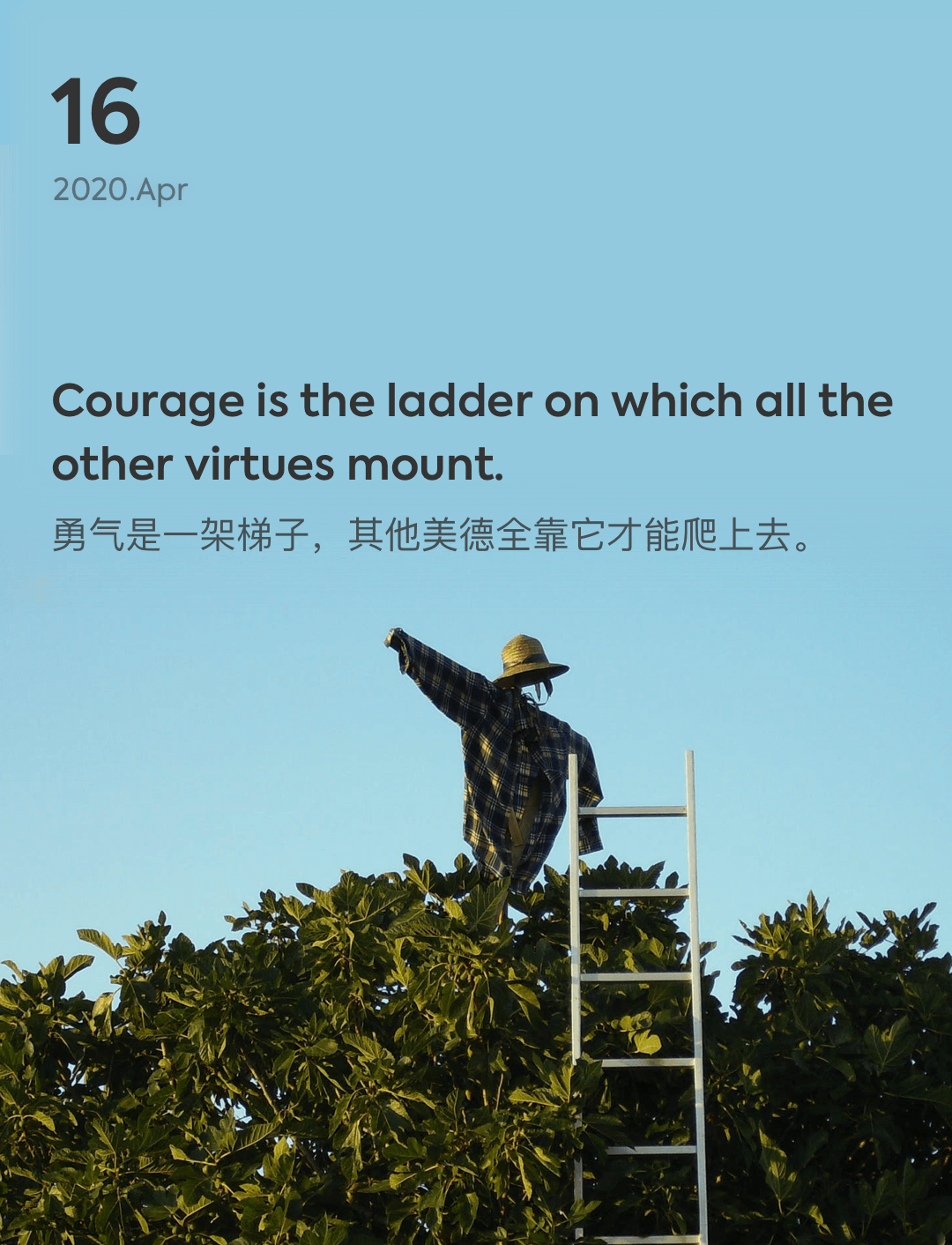 词霸每日一句